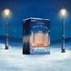 Подарочный набор Satisfyer Premium Advent Calendar 2025 SX2855 фото 6